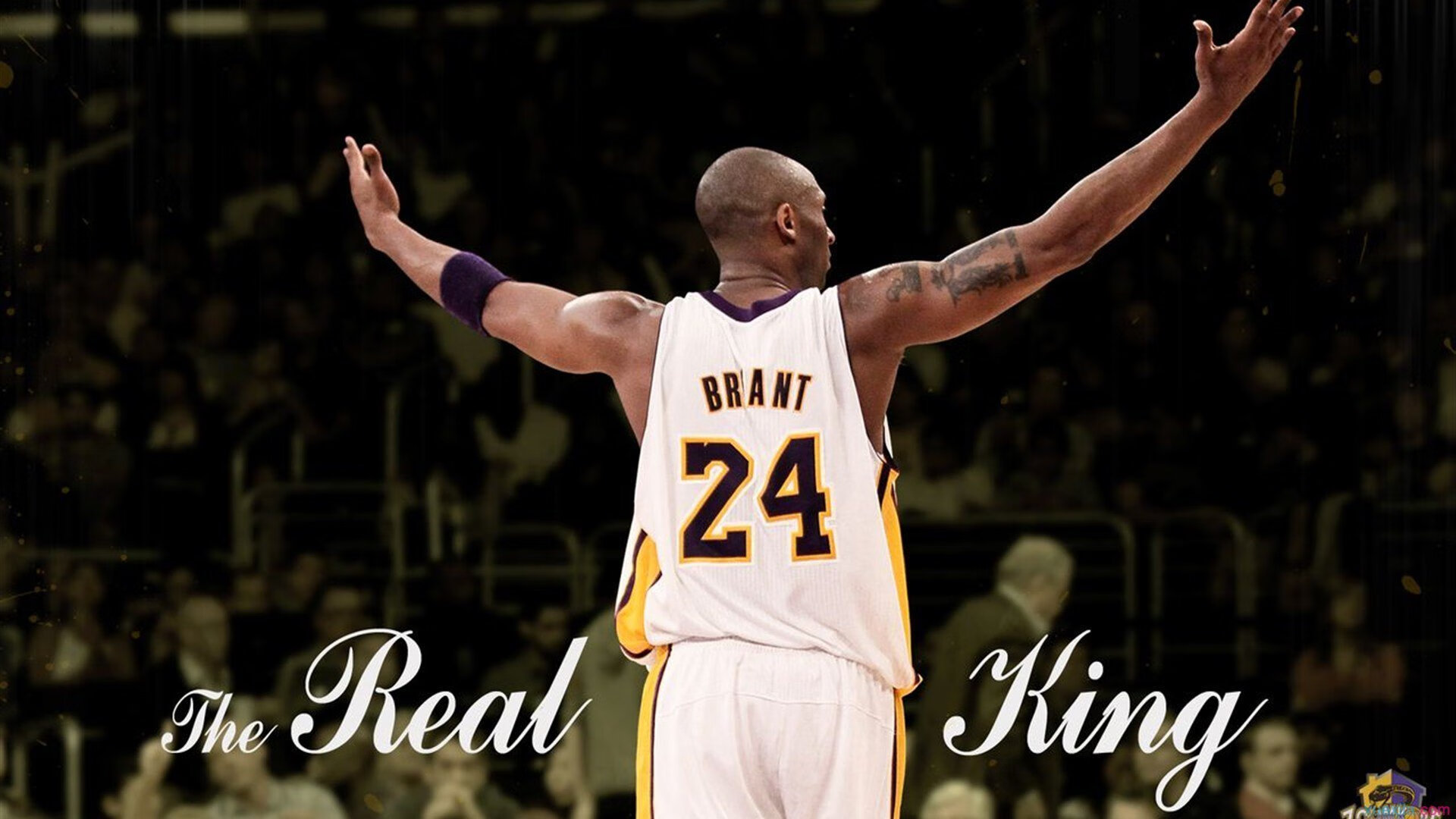 今日电竞赔率盘口赛前预测推荐，今晚电竞比赛时间